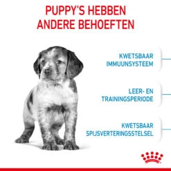Royal Canin Medium Puppy - Hondenvoer -Nieuwe Pootjes lt28YBAolKIyLd7odwjG2QqWXbokYZ metaUm95YWwtQ2FuaW4tUHVwcHktTWVkaXVtXzAzLmpwZw