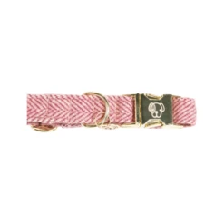 Kentucky Dogwear Hondenhalsband Wool -Nieuwe Pootjes moLlVKx6bUlV70zKbBI9ewWcn7LcuI metaS2VudHVja3ktRG9nd2Vhci1Ib25kZW5oYWxzYmFuZC1Xb29sLXJvemUtZGV0YWlsLnBuZw