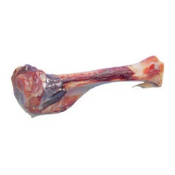 Nobby Parmabeen -Nieuwe Pootjes nobby parmabeen 130625 0500 none