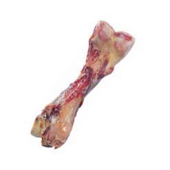 Nobby Parmabeen -Nieuwe Pootjes nobby parmabeen 130628 1000 none