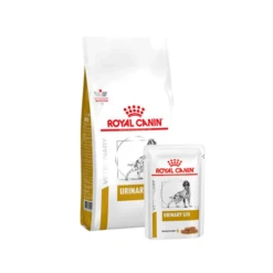 Royal Canin Urinary S/O Hond -Nieuwe Pootjes pKr2QW26HITOmnU3wv8XWbXxSAelpr metacGx1cy1tYWFsdGlqZC5wbmc
