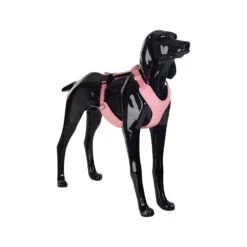 PAIKKA Visibility Harness 27 PAIKKA Visibility Harness -Nieuwe Pootjes paikka visibility harness pink xs 134556 2000 none