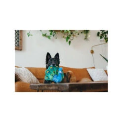 P.L.A.Y. Fetching Flock - Peacock -Nieuwe Pootjes play fetching flock peacock 182614 0500 none