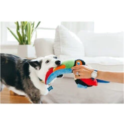 P.L.A.Y. Fetching Flock - Toucan -Nieuwe Pootjes play fetching flock toucan 181843 0500 none