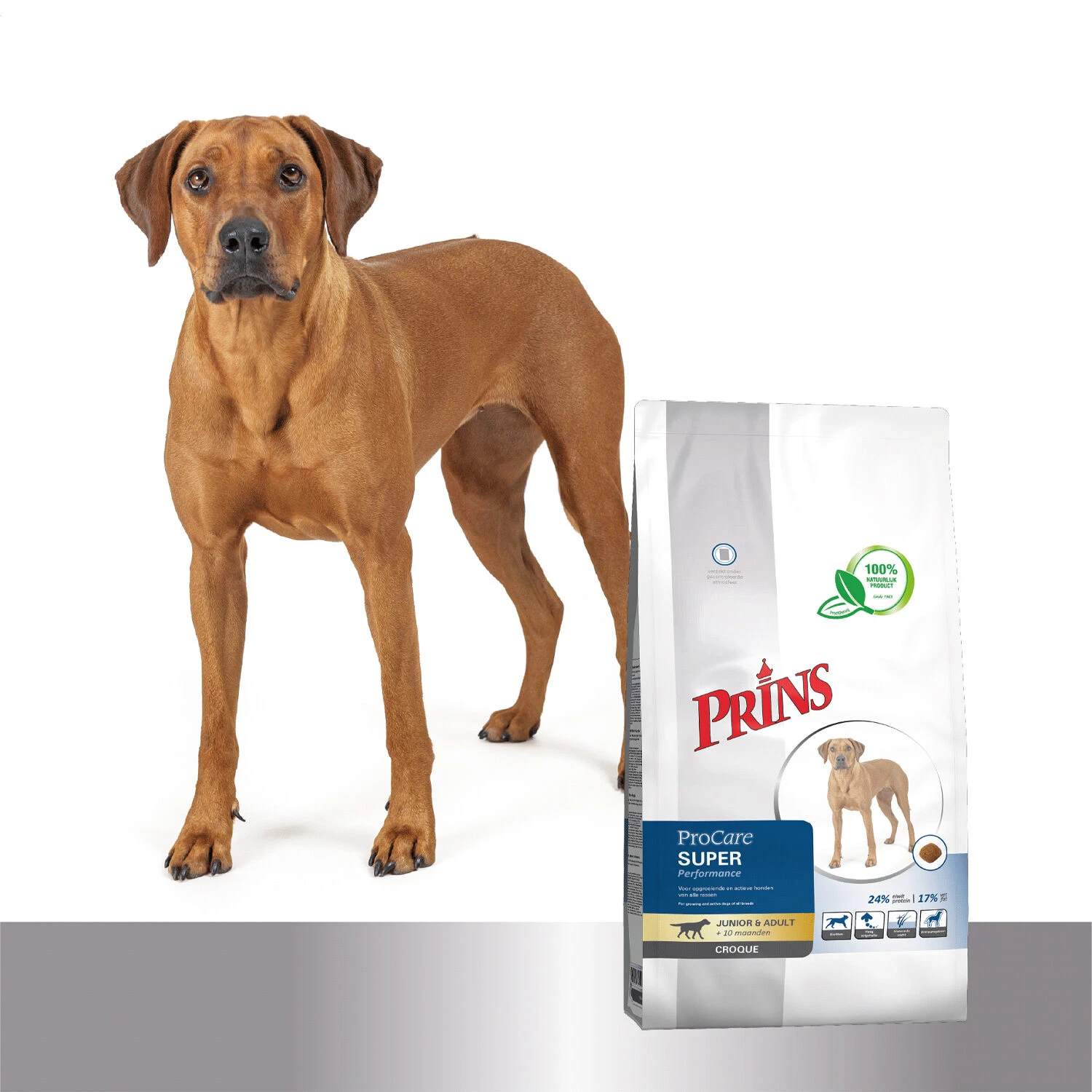 Prins ProCare Croque Super Performance 6 Prins ProCare Croque Super Performance - Afbeelding 4