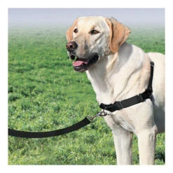 PetSafe Easywalk Tuigje -Nieuwe Pootjes product easywalk tuigje none 4 1477994349 79564