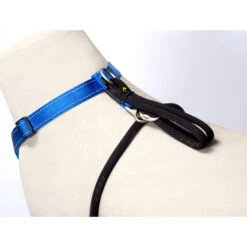 Rogz Beltz Utility Stop Pull Hondentuig -Nieuwe Pootjes rogz beltz utility stop pull hondentuig 220236 2000 none