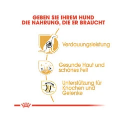 Royal Canin German Shepherd Adult - Hondenvoer -Nieuwe Pootjes royal canin german shepherd adult hundefutter 1