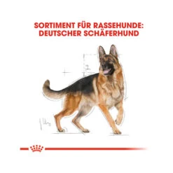 Royal Canin German Shepherd Adult - Hondenvoer -Nieuwe Pootjes royal canin german shepherd adult hundefutter 3