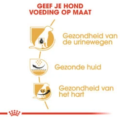 Royal Canin Dalmatian Adult - Hondenvoer -Nieuwe Pootjes royal canin dalmatian adult hondenvoer 138520 1000 none