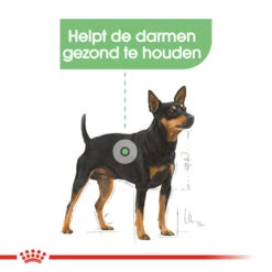 Royal Canin Digestive Care Wet - Hondenvoer -Nieuwe Pootjes royal canin digestive care wet hondenvoer 131498 1000 none