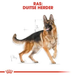Royal Canin German Shepherd Adult - Hondenvoer -Nieuwe Pootjes royal canin german shepherd adult hondenvoer 138757 1000 none
