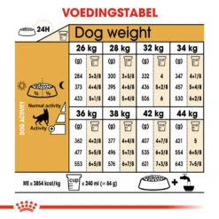 Royal Canin German Shepherd Adult - Hondenvoer -Nieuwe Pootjes royal canin german shepherd adult hondenvoer 138793 1000 none
