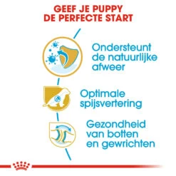 Royal Canin German Shepherd Puppy- Hondenvoer -Nieuwe Pootjes royal canin german shepherd puppy hondenvoer 138835 1000 none