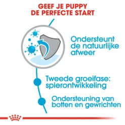 Royal Canin Giant Junior - Hondenvoer 14 Royal Canin Giant Junior - Hondenvoer -Nieuwe Pootjes royal canin giant junior 118228 2000 none