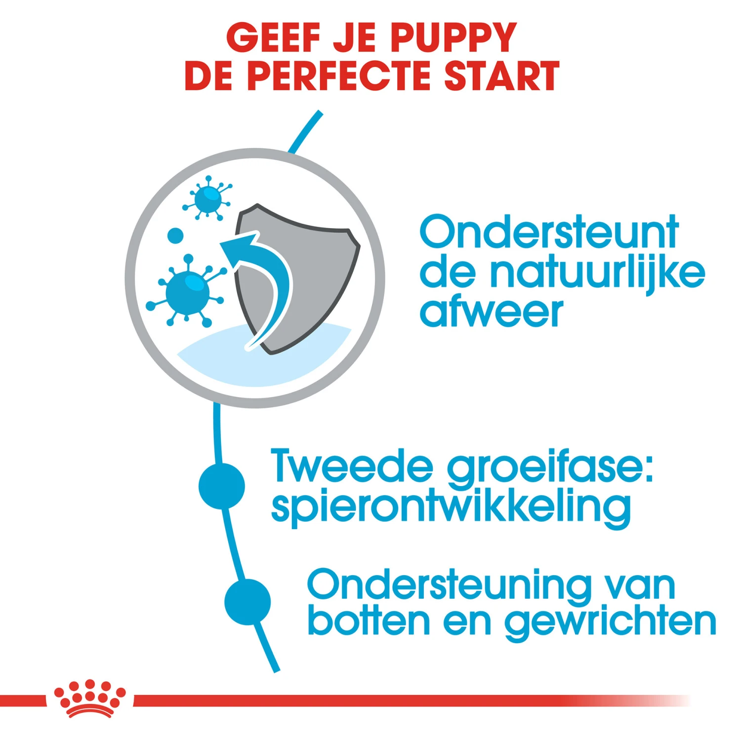 Royal Canin Giant Junior - Hondenvoer 6 Royal Canin Giant Junior - Hondenvoer - Afbeelding 5