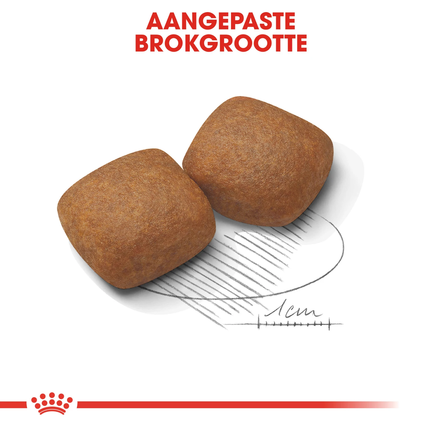 Royal Canin Giant Junior - Hondenvoer 7 Royal Canin Giant Junior - Hondenvoer - Afbeelding 6