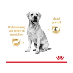Royal Canin Labrador Retriever Adult Wet -Nieuwe Pootjes royal canin labrador retriever adult wet 165781 2000 none