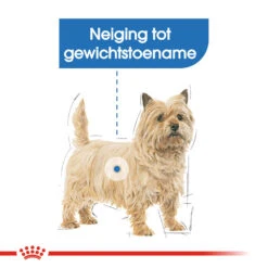 Royal Canin Light Weight Care Wet - Hondenvoer -Nieuwe Pootjes royal canin light weight care wet hondenvoer 131435 1000 none