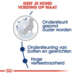 Royal Canin Maxi Ageing 8+ - Hondenvoer -Nieuwe Pootjes royal canin maxi ageing 8 hondenvoer 128711 1000 none