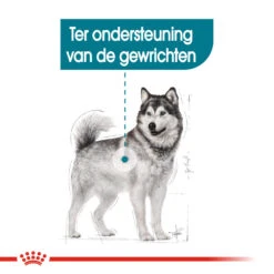 Royal Canin Maxi Joint Care - Hondenvoer -Nieuwe Pootjes royal canin maxi joint care hondenvoer 132539 1000 none