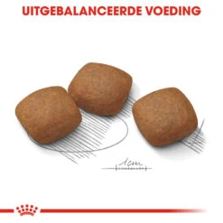 Royal Canin Maxi Joint Care - Hondenvoer -Nieuwe Pootjes royal canin maxi joint care hondenvoer 132557 1000 none