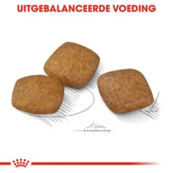 Royal Canin Maxi Relax Care - Hondenvoer -Nieuwe Pootjes royal canin maxi relax care hondenvoer 131327 1000 none