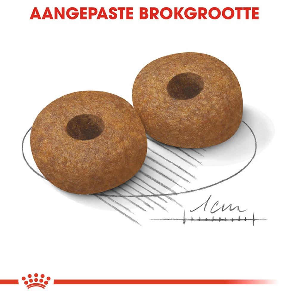 Royal Canin Medium Ageing 10+ - Hondenvoer 8 Royal Canin Medium Ageing 10+ - Hondenvoer - Afbeelding 6