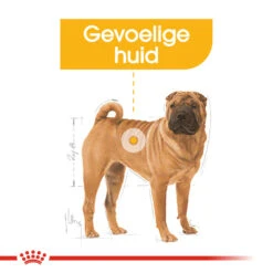Royal Canin Medium Dermacomfort - Hondenvoer 15 Royal Canin Medium Dermacomfort - Hondenvoer -Nieuwe Pootjes royal canin medium dermacomfort hondenvoer 143279 1000 none