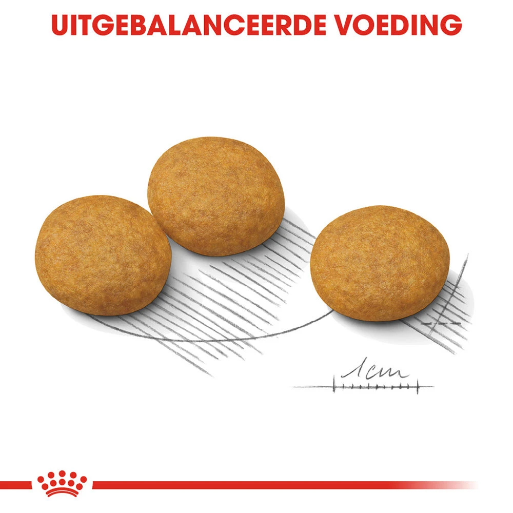 Royal Canin Medium Dermacomfort - Hondenvoer 4 Royal Canin Medium Dermacomfort - Hondenvoer - Afbeelding 2