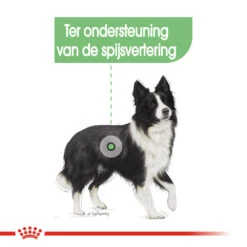 Royal Canin Medium Digestive Care - Hondenvoer -Nieuwe Pootjes royal canin medium digestive care hondenvoer 132794 1000 none