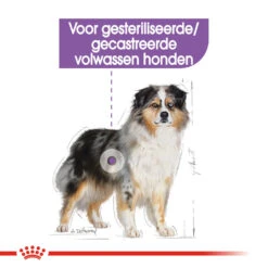 Royal Canin Medium Sterilised - Hondenvoer 18 Royal Canin Medium Sterilised - Hondenvoer -Nieuwe Pootjes royal canin medium sterilised hondenvoer 132917 1000 none