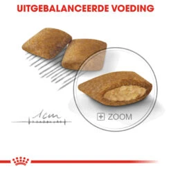 Royal Canin Mini Exigent - Hondenvoer -Nieuwe Pootjes royal canin mini exigent hondenvoer 133184 1000 none