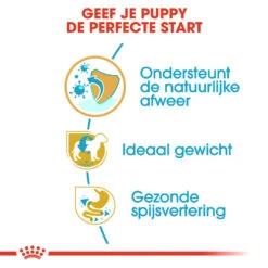 Royal Canin Mini Schnauzer Puppy - Hondenvoer 15 Royal Canin Mini Schnauzer Puppy - Hondenvoer -Nieuwe Pootjes royal canin mini schnauzer puppy hondenvoer 140179 1000 none