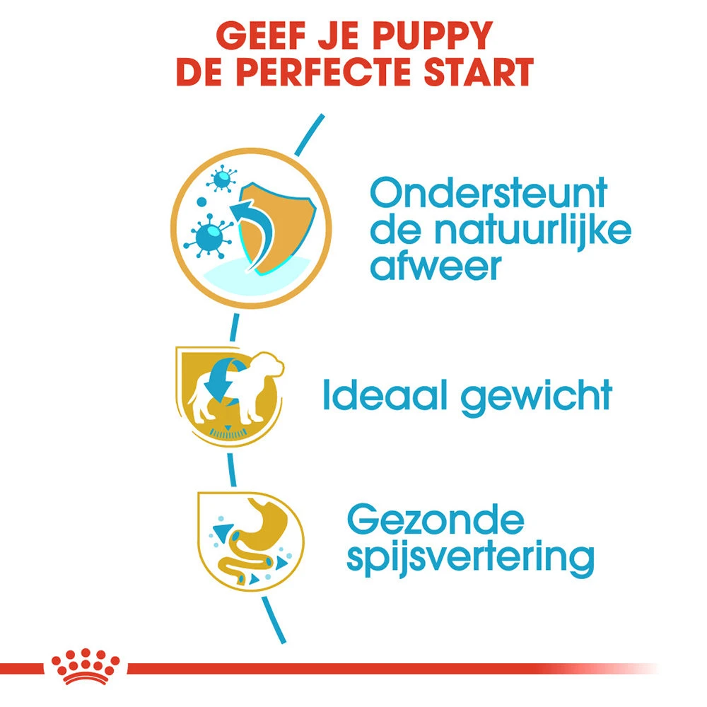 Royal Canin Mini Schnauzer Puppy - Hondenvoer 5 Royal Canin Mini Schnauzer Puppy - Hondenvoer - Afbeelding 3