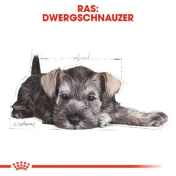 Royal Canin Mini Schnauzer Puppy - Hondenvoer 18 Royal Canin Mini Schnauzer Puppy - Hondenvoer -Nieuwe Pootjes royal canin mini schnauzer puppy hondenvoer 140188 1000 none