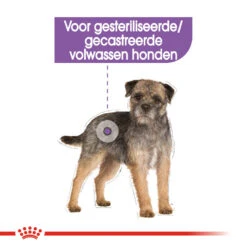 Royal Canin Mini Sterilised - Hondenvoer -Nieuwe Pootjes royal canin mini sterilised hondenvoer 133235 1000 none
