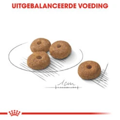 Royal Canin Mini Sterilised - Hondenvoer -Nieuwe Pootjes royal canin mini sterilised hondenvoer 133253 1000 none