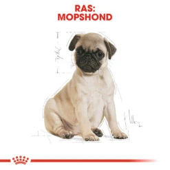 Royal Canin Pug Puppy - Hondenvoer -Nieuwe Pootjes royal canin pug puppy hondenvoer 139891 1000 none