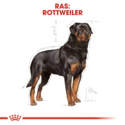 Royal Canin Rottweiler Adult - Hondenvoer -Nieuwe Pootjes royal canin rottweiler adult hondenvoer 139942 1000 none
