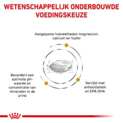 Royal Canin Urinary S/O Hond - Blik -Nieuwe Pootjes royal canin urinary so hond 153679 1000 none