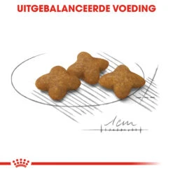 Royal Canin X-Small Sterilised - Hondenvoer -Nieuwe Pootjes royal canin x small sterilised hondenvoer 143417 1000 none