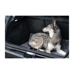 Royal Dry Doormat -Nieuwe Pootjes royal dry doormat 187417 2000 none