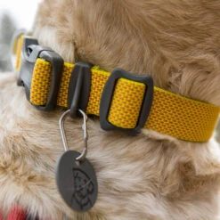 Ruffwear Hi & Light Collar -Nieuwe Pootjes ruffwear hi light collar 194258 1000 none