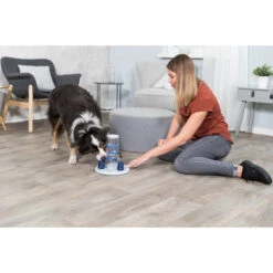 Trixie Dog Activity Gambling Tower -Nieuwe Pootjes trixie dog activity gambling tower 179852 2000 none