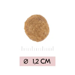 Vetality Skin Support - Hondenvoer -Nieuwe Pootjes vetality skin support hondenvoer 195452 1000 none