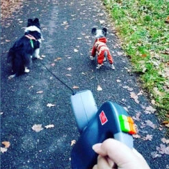 Wigzie Dual Doggie 3.0 6 Wigzie Dual Doggie 3.0 -Nieuwe Pootjes wigzi dual doggie 30 167845 0500 none