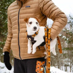 Woolly Wolf Sea To Summit Hondenriem -Nieuwe Pootjes woolly wolf sea to summit hondenriem 194831 1000 none