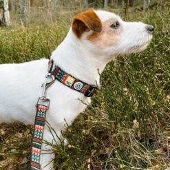 Woolly Wolf Woodland Hondenriem -Nieuwe Pootjes woolly wolf woodland hondenriem 204539 1000 none