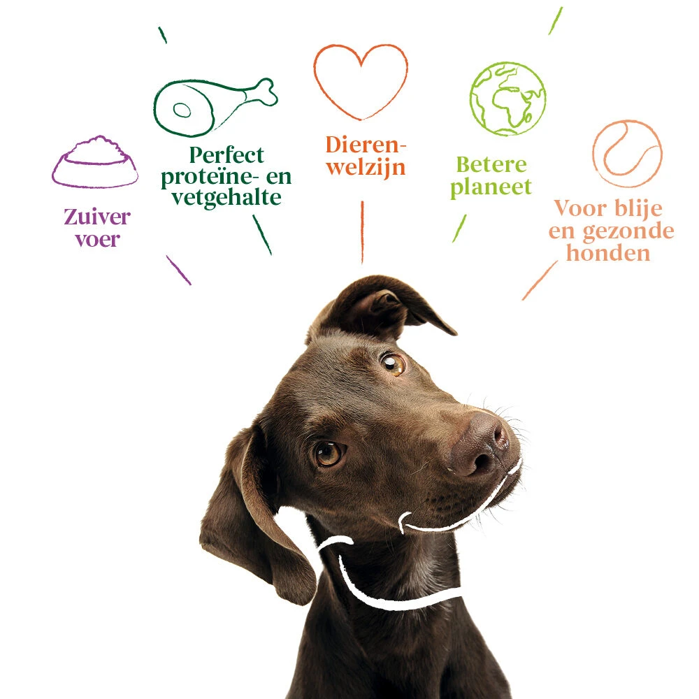 Yarrah - Droogvoer Hond Graanvrij Bio 8 Yarrah - Droogvoer Hond Graanvrij Bio - Afbeelding 6